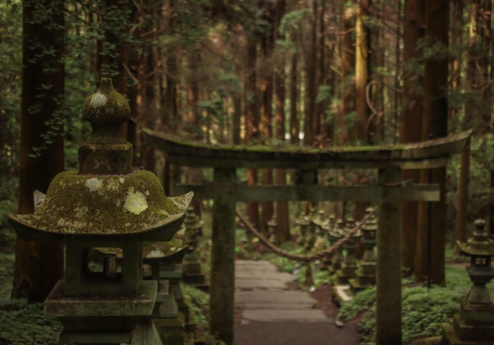 2025年新人ブログデビュー① おすすめの旅行先